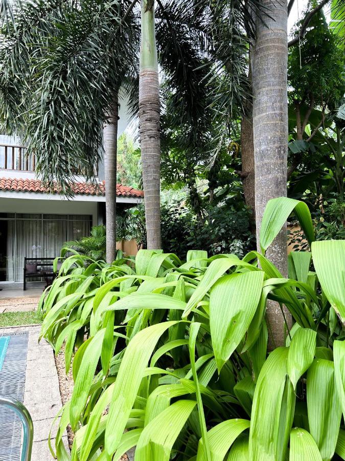 Wild Heaven Hotell Tissamaharama Exteriör bild