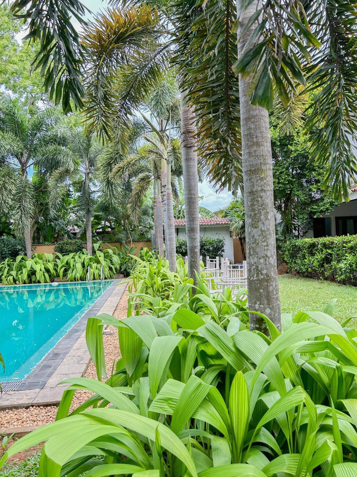 Wild Heaven Hotell Tissamaharama Exteriör bild