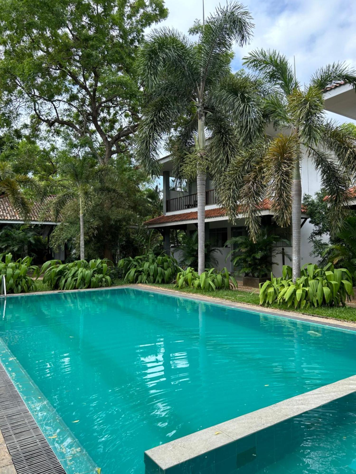 Wild Heaven Hotell Tissamaharama Exteriör bild