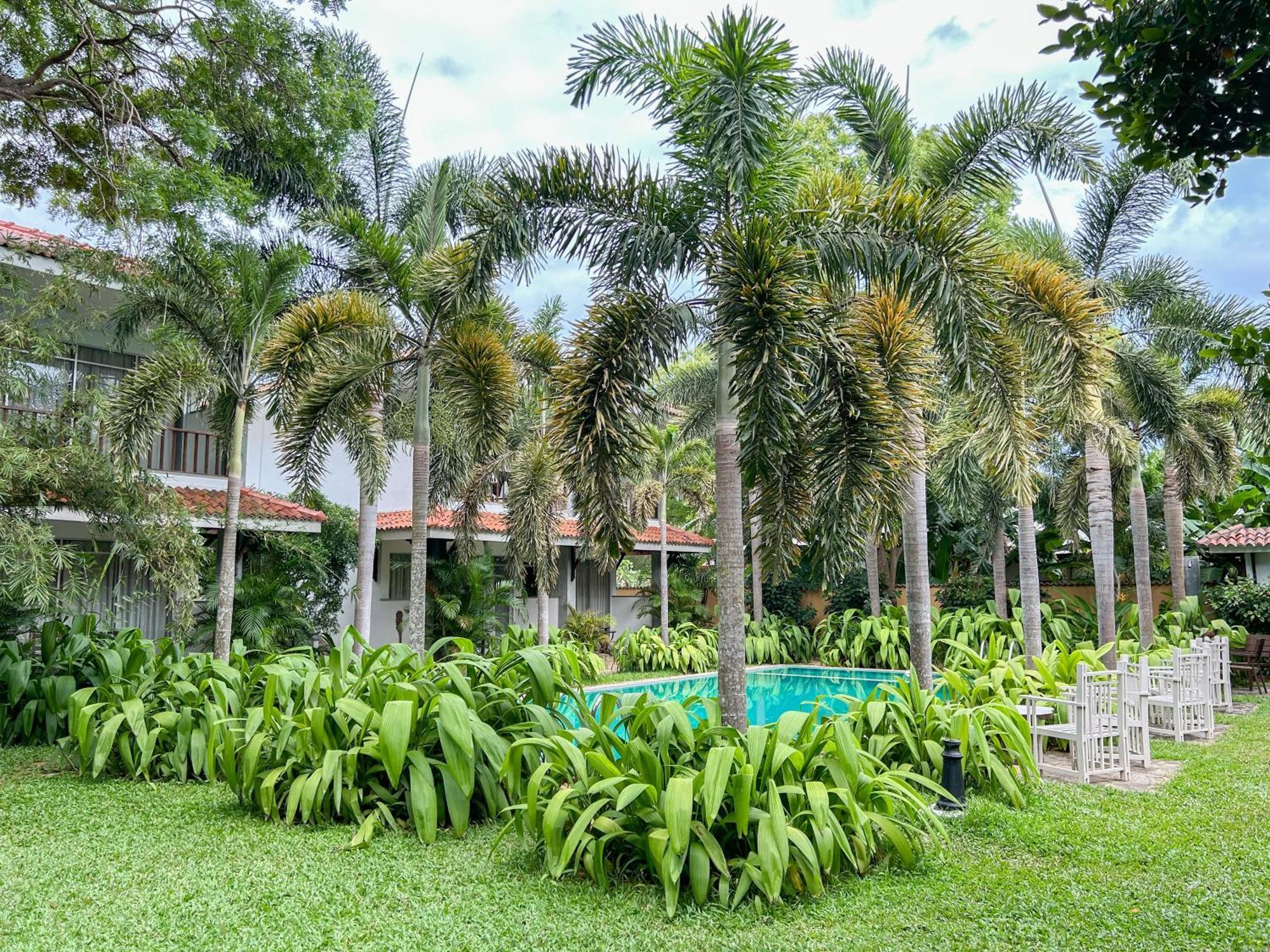 Wild Heaven Hotell Tissamaharama Exteriör bild