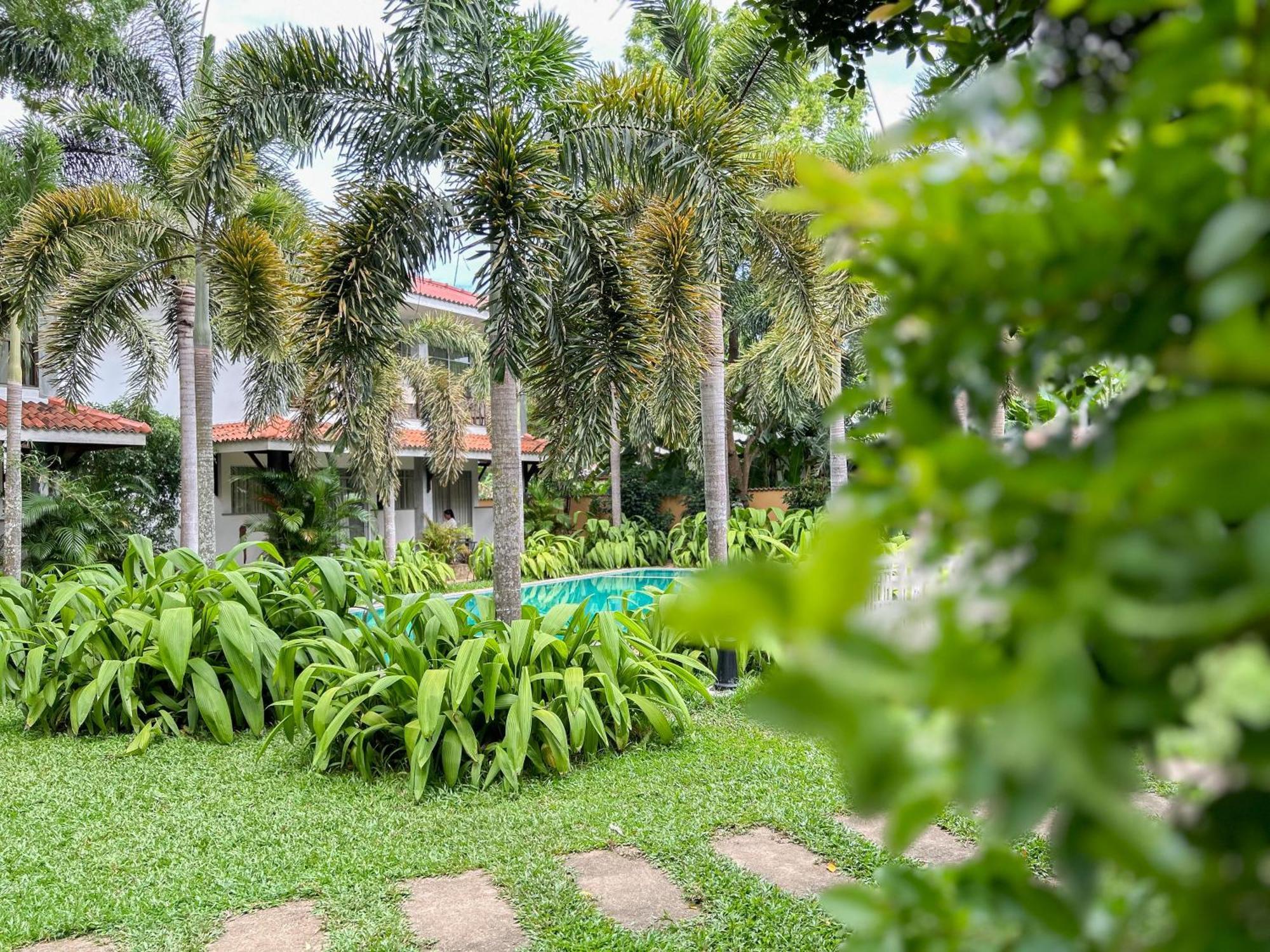 Wild Heaven Hotell Tissamaharama Exteriör bild