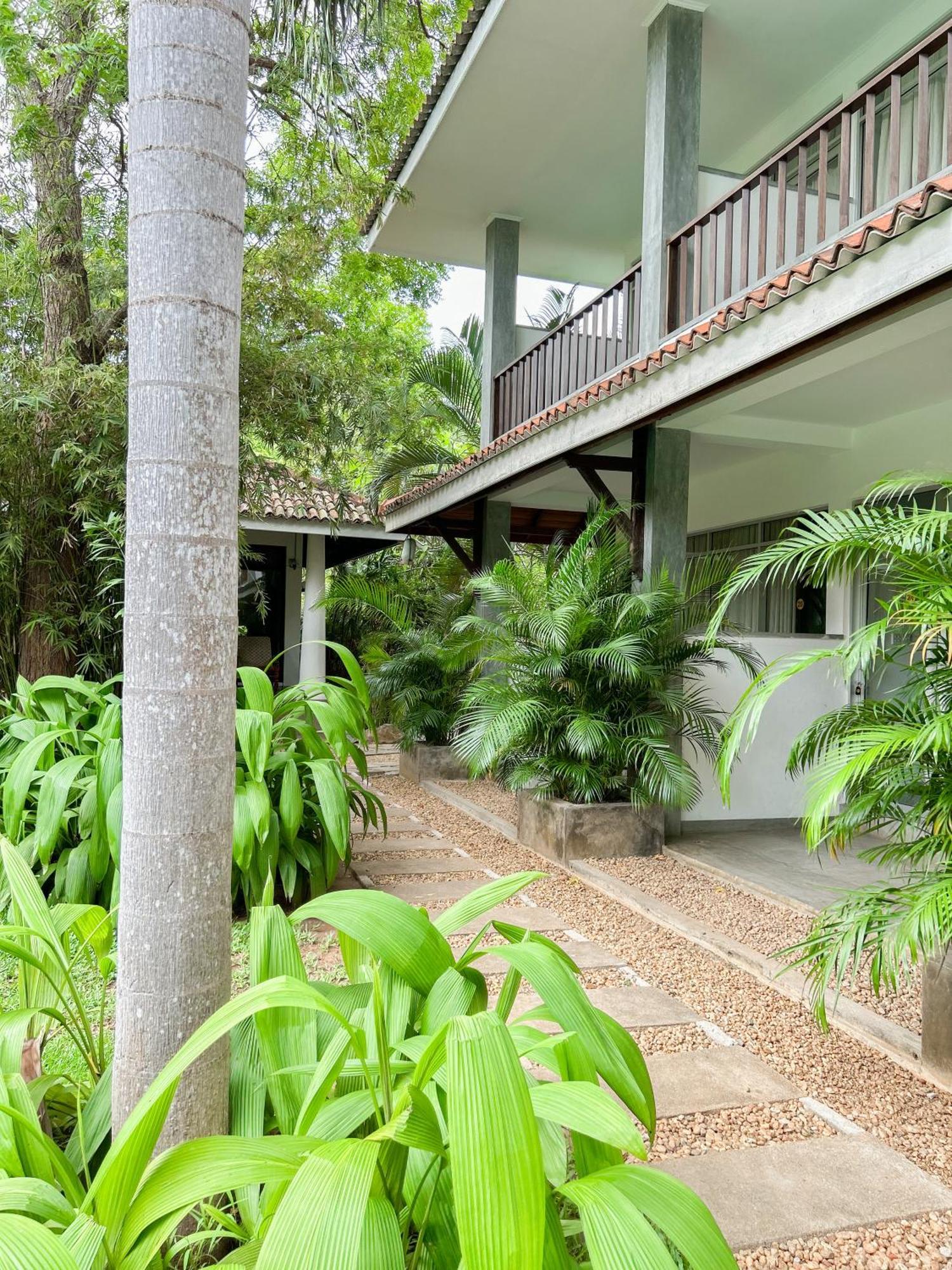 Wild Heaven Hotell Tissamaharama Exteriör bild